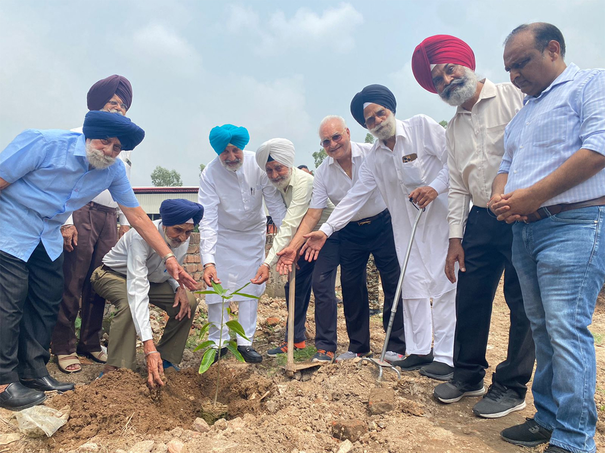 Van Mahautsav was celebrated